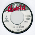 Junior Byles Fever