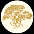 Jeff Mills Cycle 30