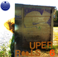 Boredoms Sure Roots 6