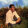 Mahmoud Ahmed 